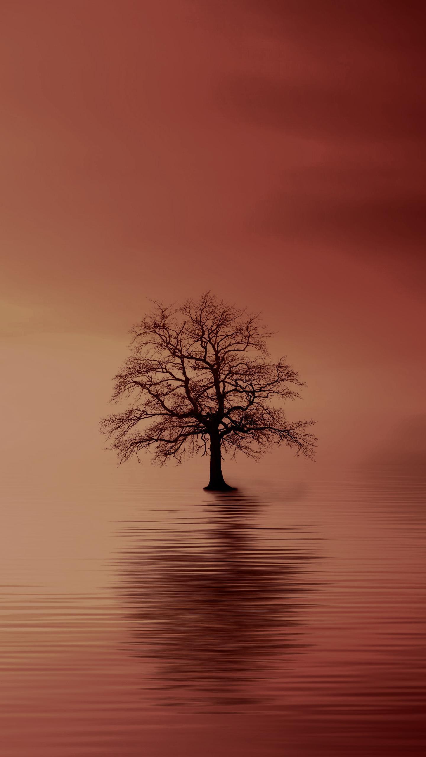 Audio Player Background