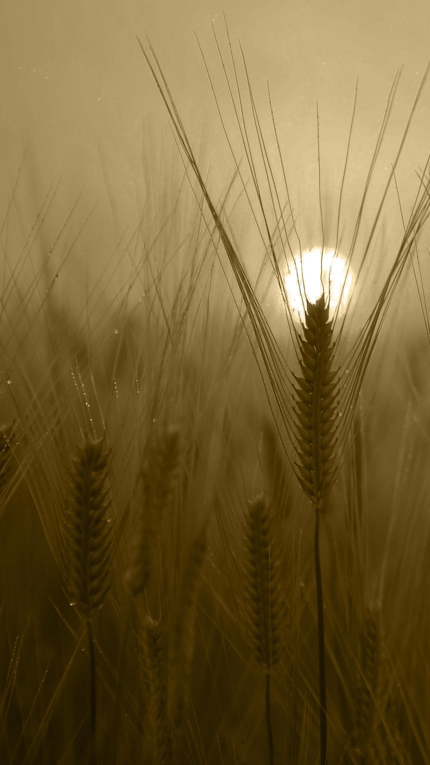 Audio Player Background